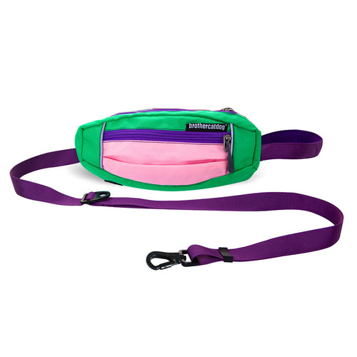 Nylon Outdoor Walking Dog leash With Custom Hip Pack